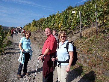 Ferienwohnung in Oberscheidweiler - Wanderung Ahrtal