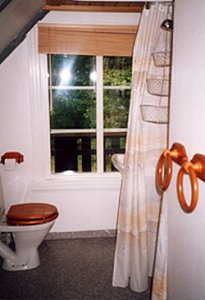Ferienhaus in Vissefjärda - Bad mit Dusche und WC