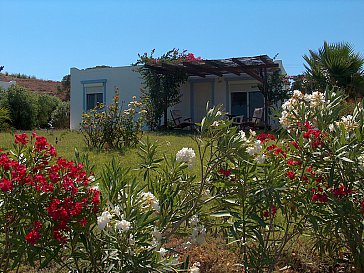 Ferienhaus in Mastichari - Das Haus und der Garten