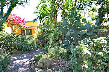 Ferienwohnung in El Paso - Garten APARTAMENTO