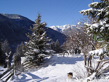 Ferienwohnung in Ahrntal - Winter am Kuglerhof