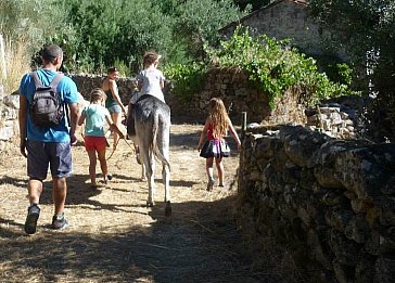Ferienwohnung in Valencia de Alcántara - Eselwandern, ein unvergessliches Erlebnis