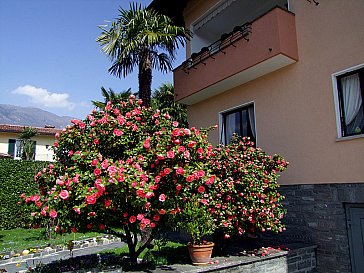 Ferienwohnung in Ascona - Garten