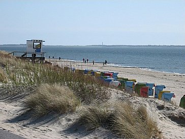 Ferienwohnung in Borgsum - Am Strand