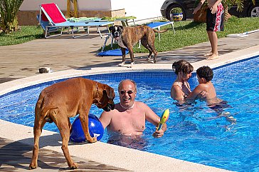 Ferienhaus in Riomar, Riumar - SpanienUrlaub mit Hund
