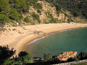 Ferienwohnung in Rosamar - Playa de Canyet Badestrand