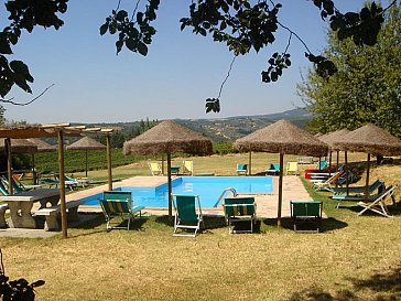 Ferienwohnung in Montescudaio - Schwimmbad