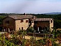 Ferienhaus in Castelnuovo Berardenga - Toskana