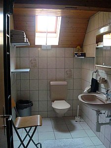 Ferienwohnung in Wangenried - WC mit Dusche
