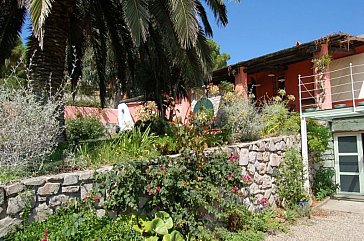 Ferienwohnung in Capoliveri - Garten