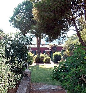 Ferienhaus in Capoliveri - Garten