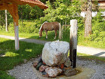 Ferienwohnung in St. Ulrich am Pillersee - Wasserrad hinter dem Haus