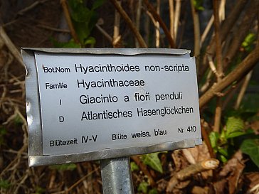 Ferienwohnung in Locarno-Muralto - Viele Pflanzen sind ausgeschildert