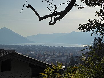 Ferienwohnung in Locarno-Muralto - Blick vom Aussensitzplatz über den Lago Maggiore