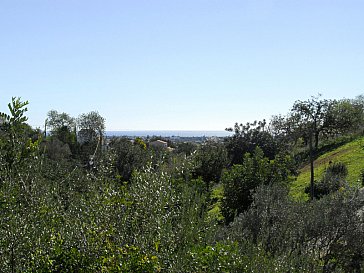 Ferienwohnung in Tavira - Meerblick Ferienwohnung Atlantico