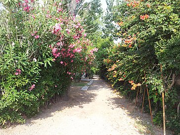 Ferienwohnung in Selianitika - Der Eingang zum Garten vom Meer aus