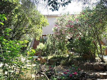 Ferienhaus in Porto Vecchio - Garten