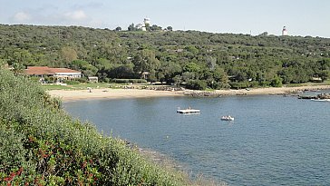 Ferienhaus in Porto Vecchio - Buch La Chiappa Anlage