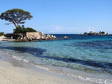 Ferienhaus in Porto Vecchio - Palombaggia