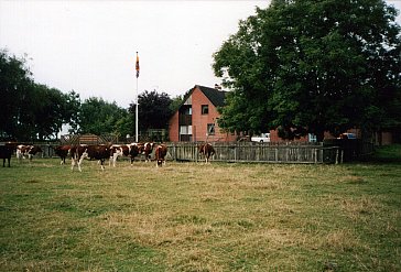 Ferienwohnung in Galmsbüll - Haus Ilka vom Osten