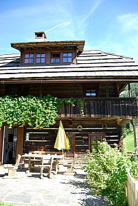 Ferienhaus in Ebene Reichenau - Ferienhaus Melzer mit Terrasse im Sommer