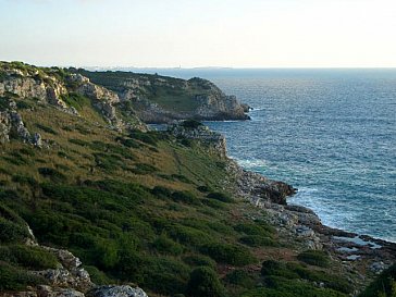 Ferienwohnung in Porto Cesareo - Küste