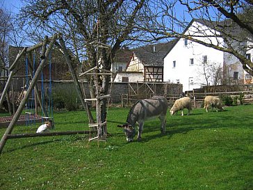 Ferienwohnung in Walting - Der Spielplatz und unsere Tiere