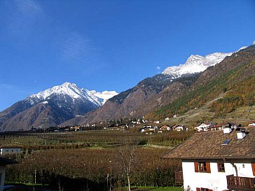 Ferienwohnung in Algund - Aussicht auf Zielspitze und Tschigat