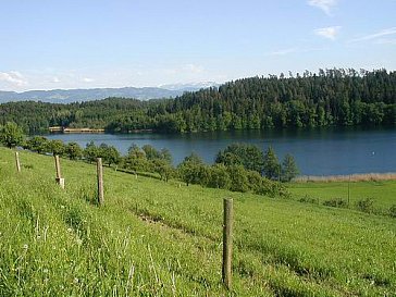 Ferienwohnung in Busenhaus bei Kressbronn - Aussicht