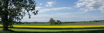 Ferienwohnung in Pfaffenhausen - Unser Ausblick