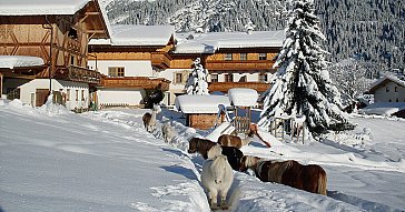 Ferienwohnung in Ridnaun-Ratschings - Residence Rainer im Winter