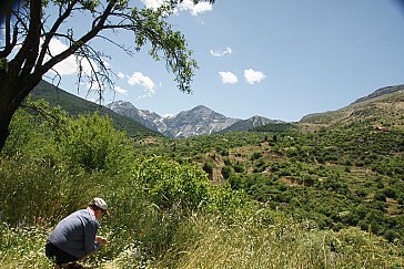 Ferienhaus in Peristera - Vor dem Dorf Peristera unter dem Berg Helmos