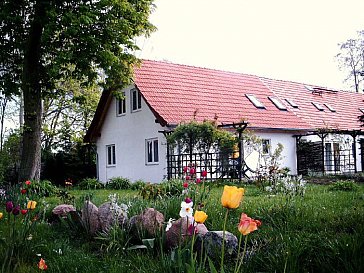 Ferienwohnung in Stolpe - Haus mit Terrasse zum Garten