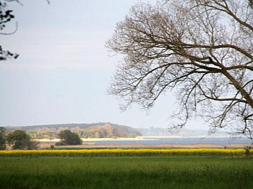 Ferienwohnung in Stolpe - Blick hinter dem Grundstück auf das Stettiner Haff