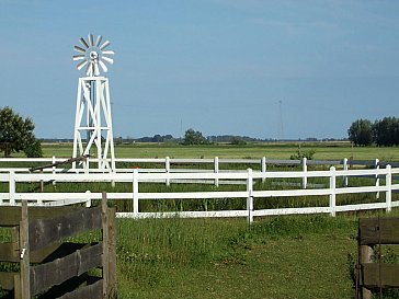 Ferienwohnung in Freest - Angelteich mit Windrad