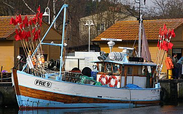 Ferienwohnung in Freest - Ein typischer Freester Fischkutter