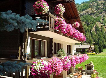 Ferienwohnung in Saas-Grund - Haus Alea in Saas-Grund