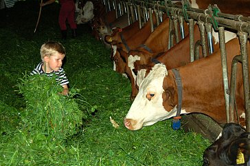 Ferienwohnung in Winikon - Aktivurlaub