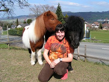 Ferienwohnung in Winikon - Unsere 2 Ponys