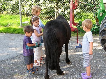Ferienwohnung in Winikon - Unser Pony Flora ist sehr Kinderlieb