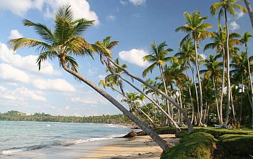 Ferienhaus in Las Terrenas - Ein Kleinod in der Karibik für Geniesser