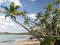 Ferienhaus in Las Terrenas - Samana