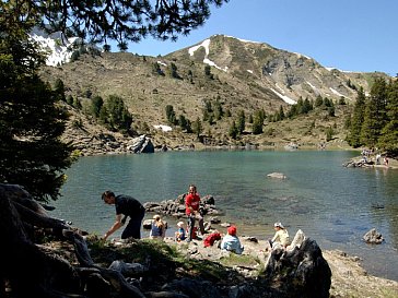 Ferienwohnung in Frutigen - Elsigenalp