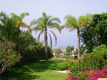 Ferienwohnung in Guía de Isora - Garten
