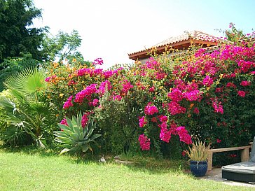 Ferienwohnung in Guía de Isora - Garten