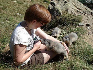 Ferienwohnung in Saas-Fee - Murmeltierfüttern auf Spielboden