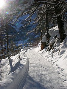 Ferienwohnung in Saas-Fee - Winterwandern