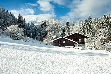 Ferienwohnung in Schönau am Königsee - Grosszügiges Grundstück