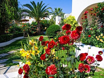 Ferienhaus in Rethymnon - Garten