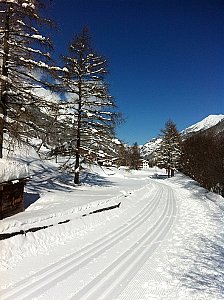 Ferienwohnung in Saas-Grund - Umgebung Winter